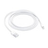 Apple Lightning To USB Cable (0.5 M)-AME (ME291AM/A)