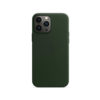 iPhone 13 Pro Leather Case - SEQ Green (MM1G3FE/A)