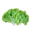 Lettuce Leaves ± 10 gm 100 gm