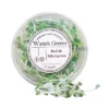 Watteh Greens Radish Microgreen 25 gm